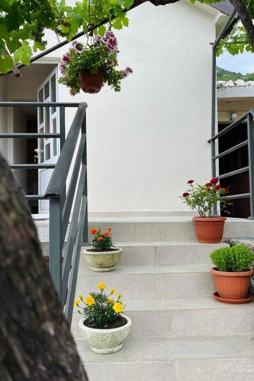 Apartments Stella ヴィルパザル エクステリア 写真