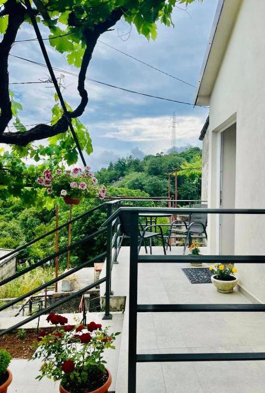 Apartments Stella ヴィルパザル エクステリア 写真